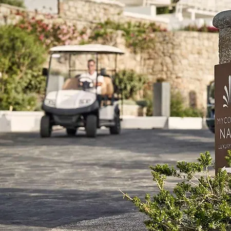 Hotel Myconian Naia
